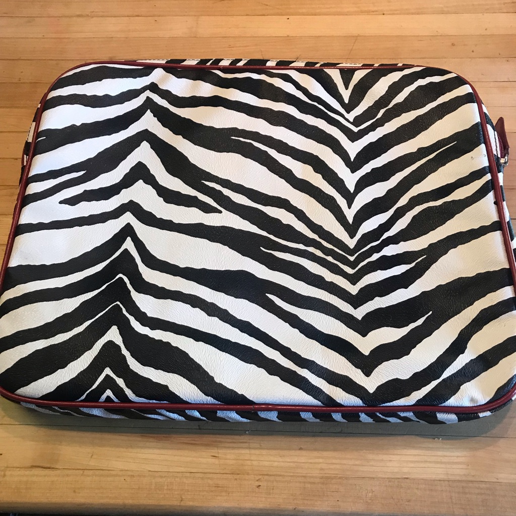 Cute Computer Bag